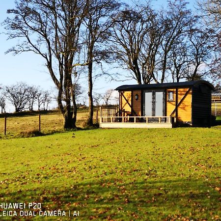 Pen-Rhos Luxury Glamping "Cuckoo'S Nest" Villa Llandrindod Wells Ngoại thất bức ảnh