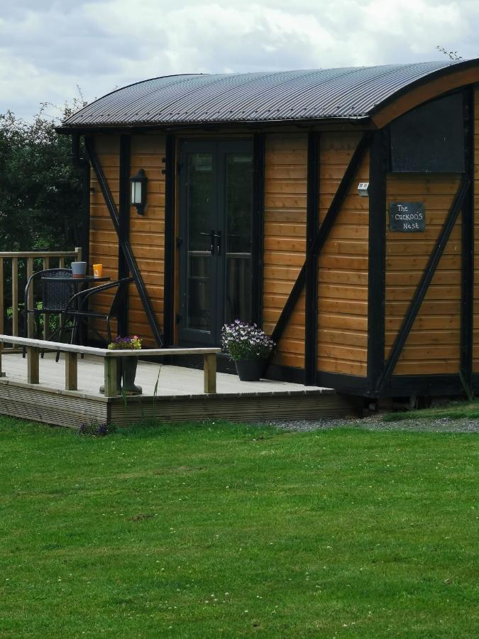 Pen-Rhos Luxury Glamping "Cuckoo'S Nest" Villa Llandrindod Wells Ngoại thất bức ảnh
