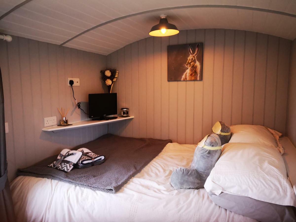 Pen-Rhos Luxury Glamping "Cuckoo'S Nest" Villa Llandrindod Wells Ngoại thất bức ảnh